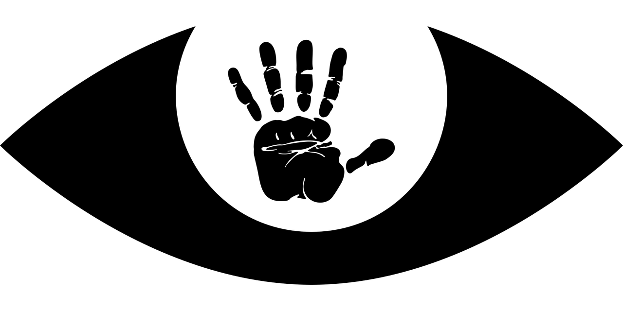 新疆最新消息概览，最新动态与资讯速递