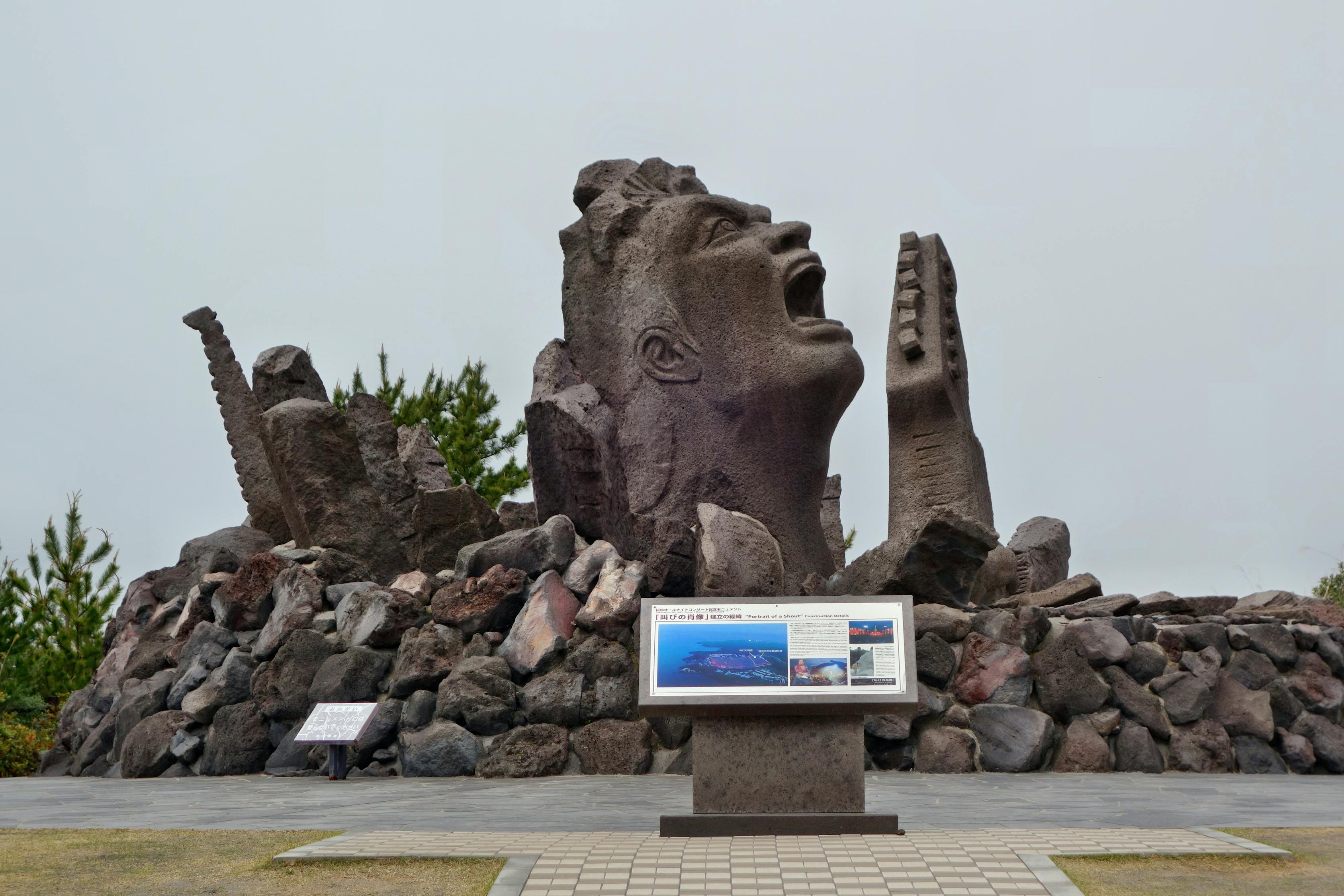 日本鹿儿岛疫情最新动态，挑战与应对策略
