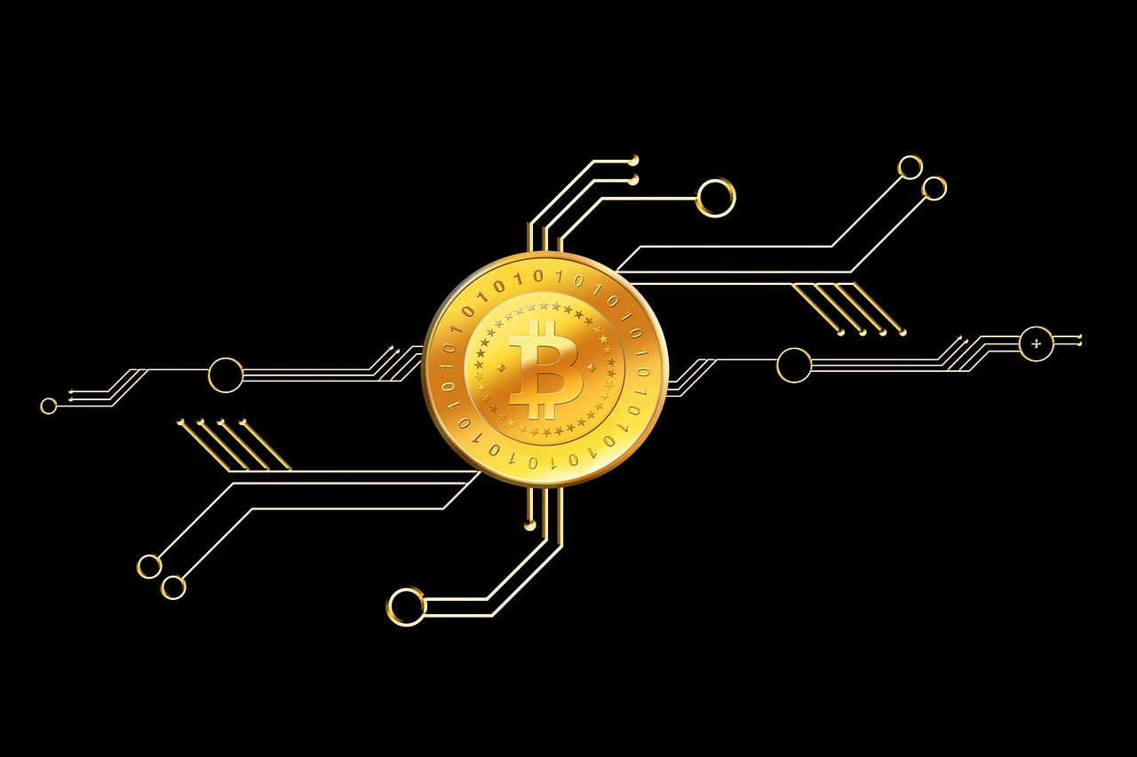 最新海关出口数据揭示中国出口贸易新趋势