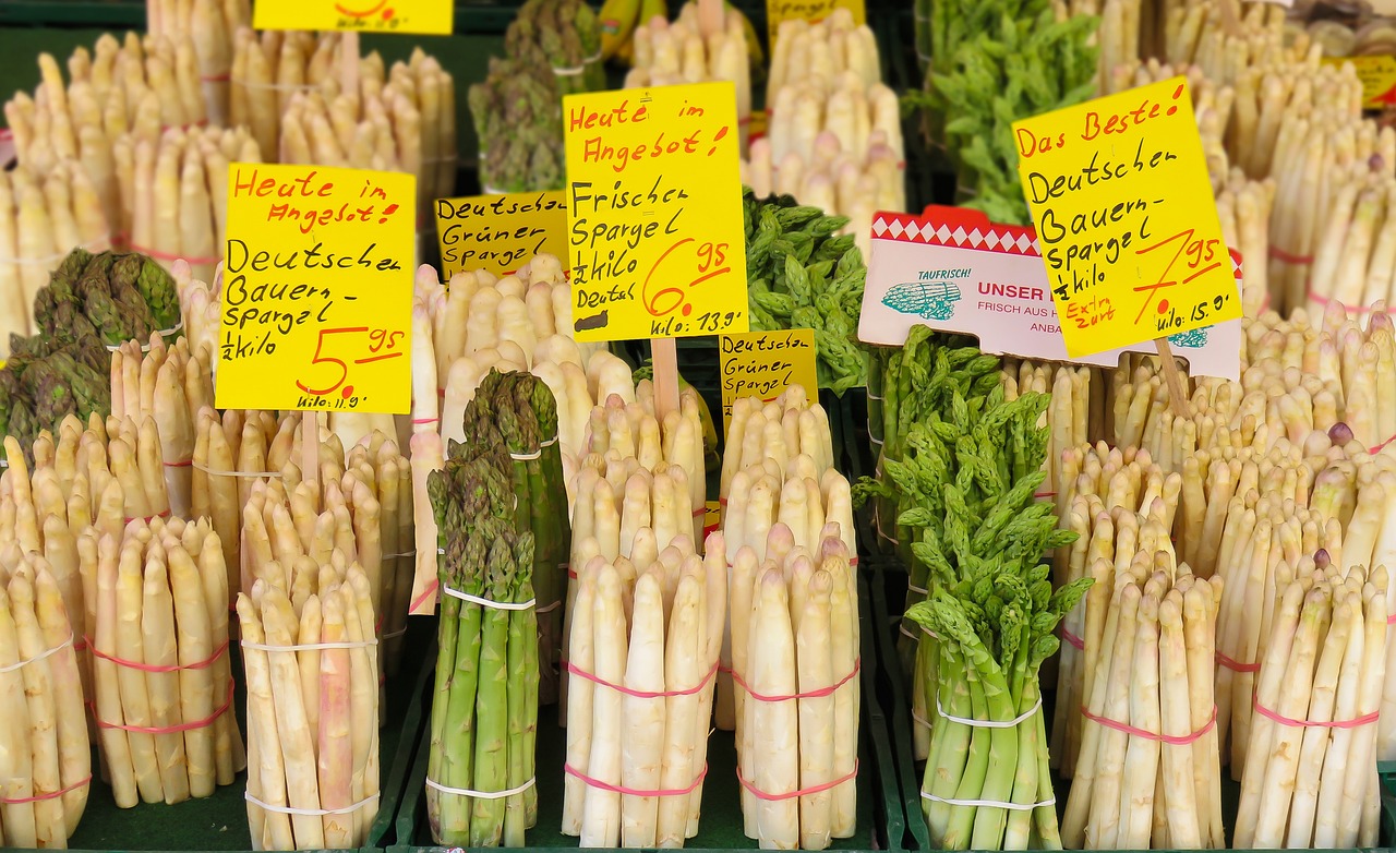 最新豆粕行情报价及深度分析