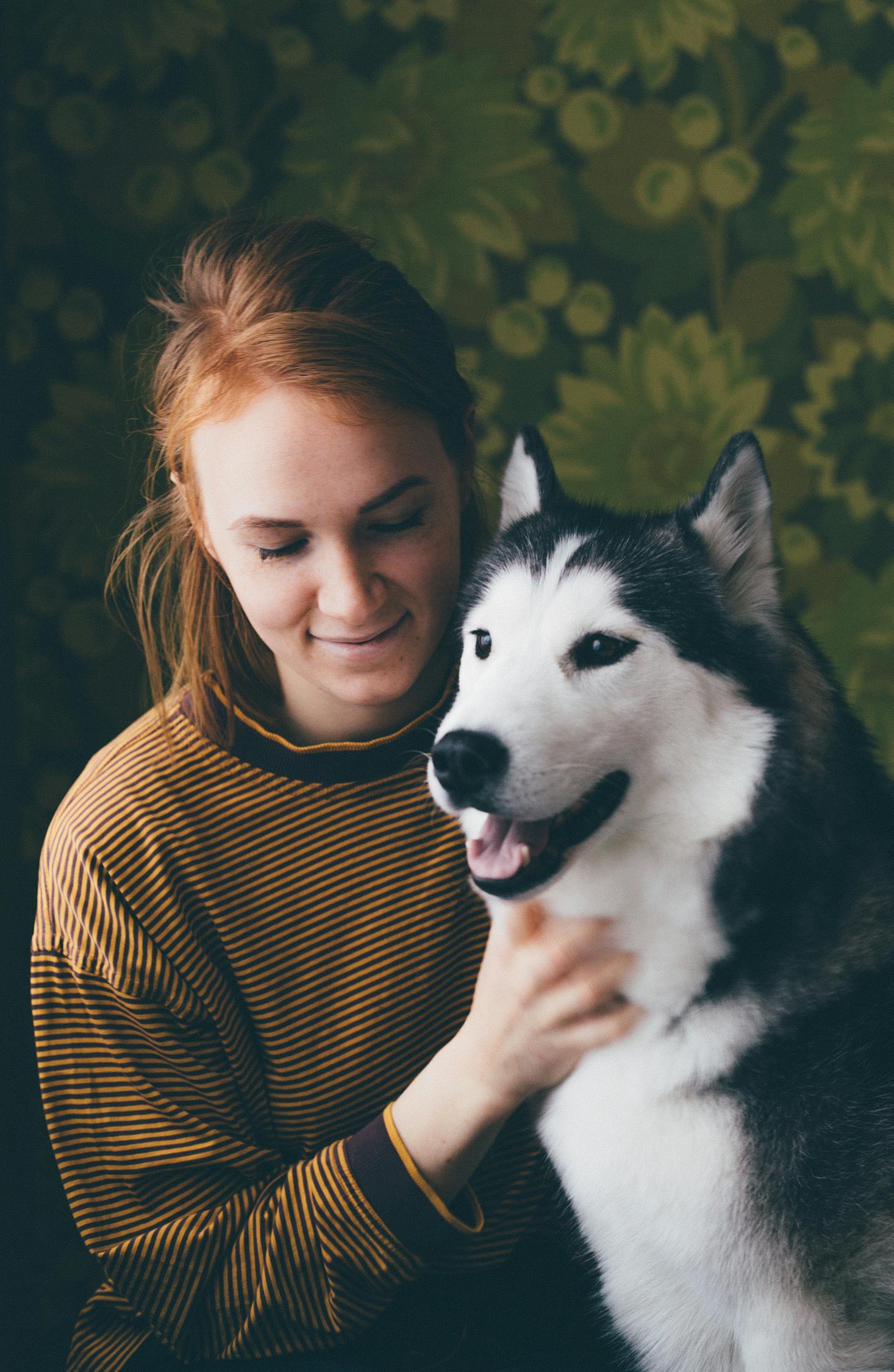 最新狗狗智商排行榜，揭示犬类智力的奥秘