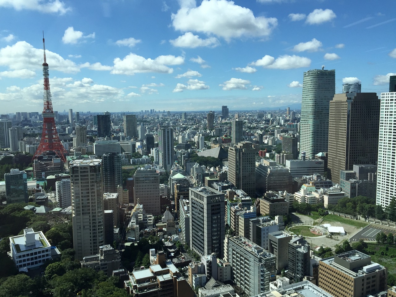 外交部最新发言分析与解读